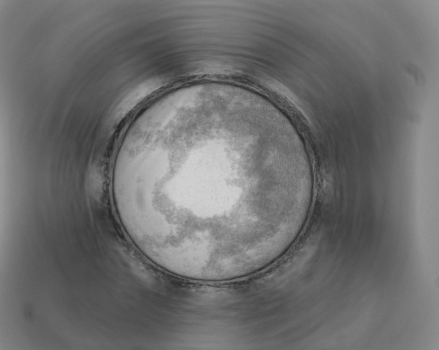 X0000113900874200910081827