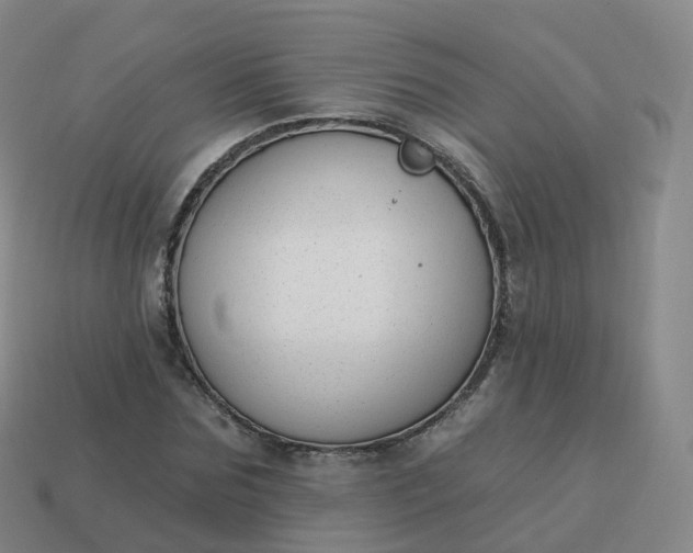 X0000113900875200910081827