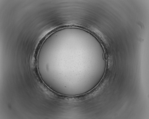 X0000113900876200910081827