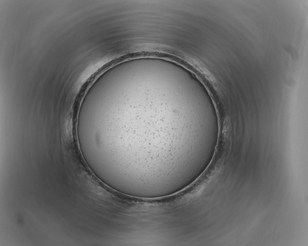 X0000113900877200910081827