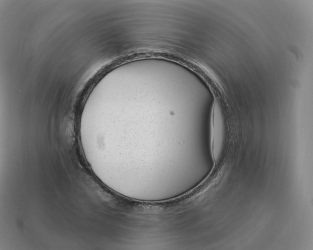 X0000113900878200910081827