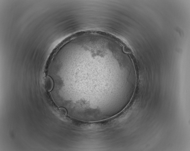 X0000113900879200910081827