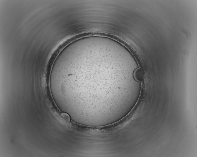 X0000113900880200910081827