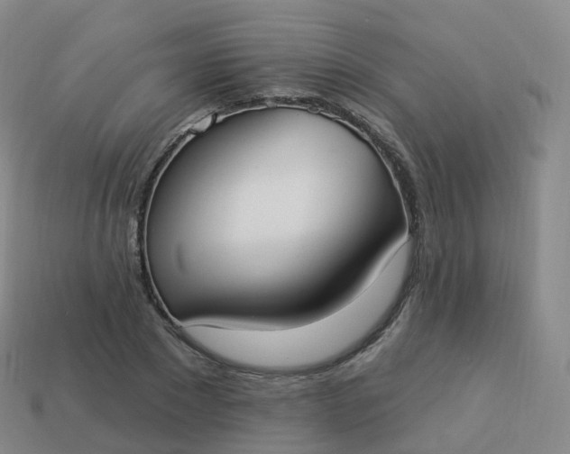 X0000113900881200910081827