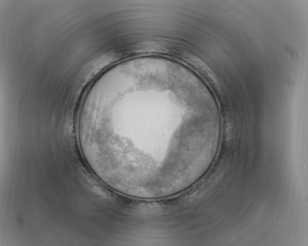 X0000113900882200910081827