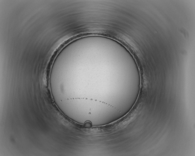 X0000113900883200910081827