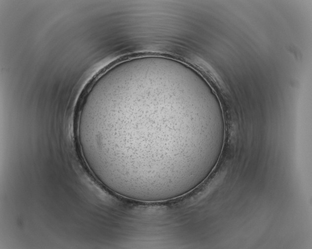 X0000113900884200910081827