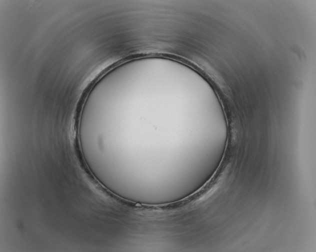 X0000113900885200910081827