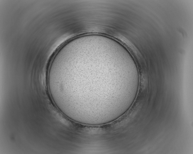 X0000113900886200910081827