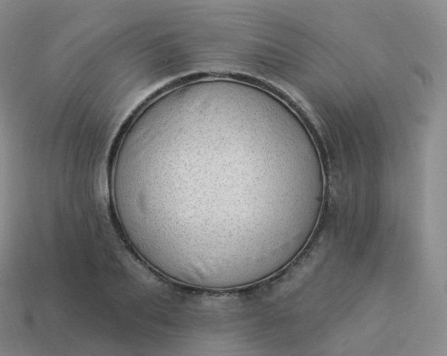 X0000113900887200910081827