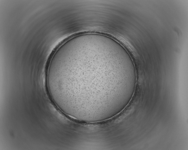 X0000113900888200910081827