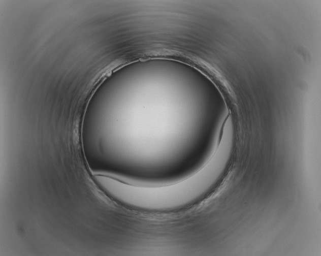 X0000113900889200910081827