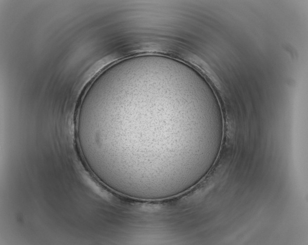 X0000113900890200910081827