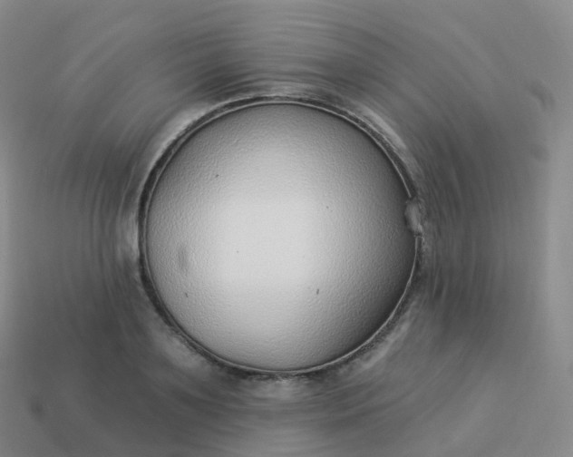 X0000113900891200910081827