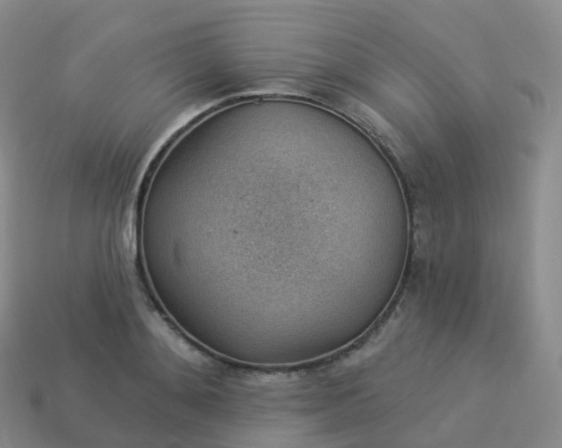 X0000113900892200910081827