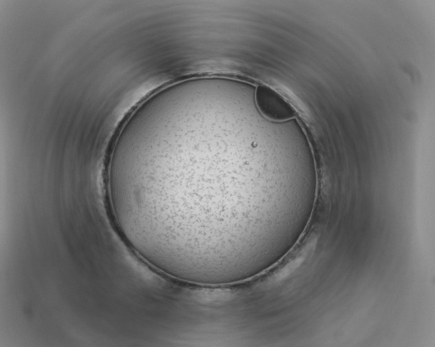 X0000113900893200910081827