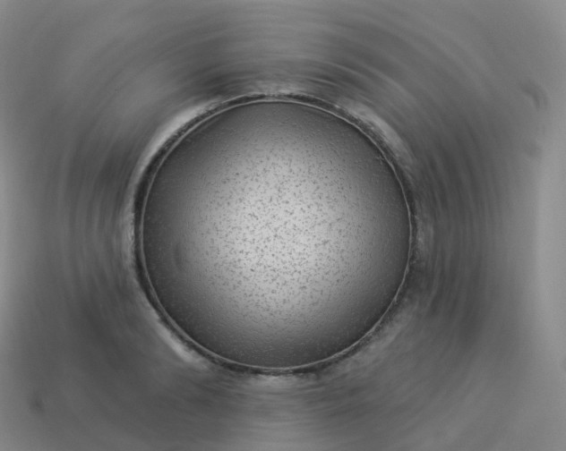 X0000113900894200910081827