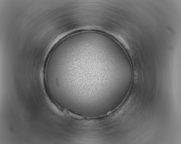 X0000113900895200910081827