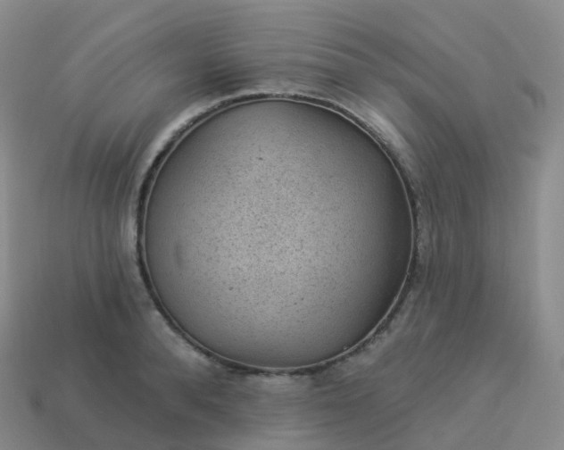 X0000113900896200910081827