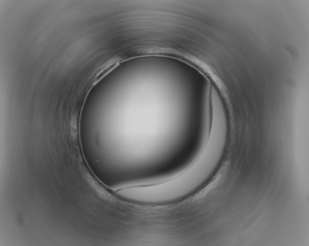 X0000113900897200910081827