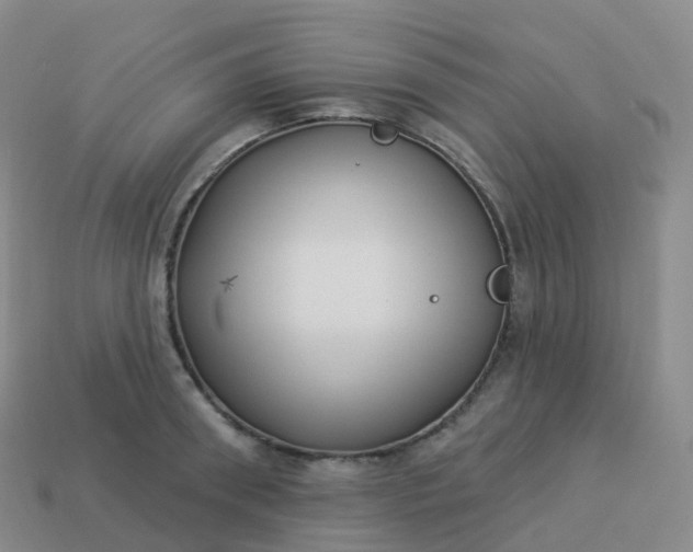 X0000113900898200910081827