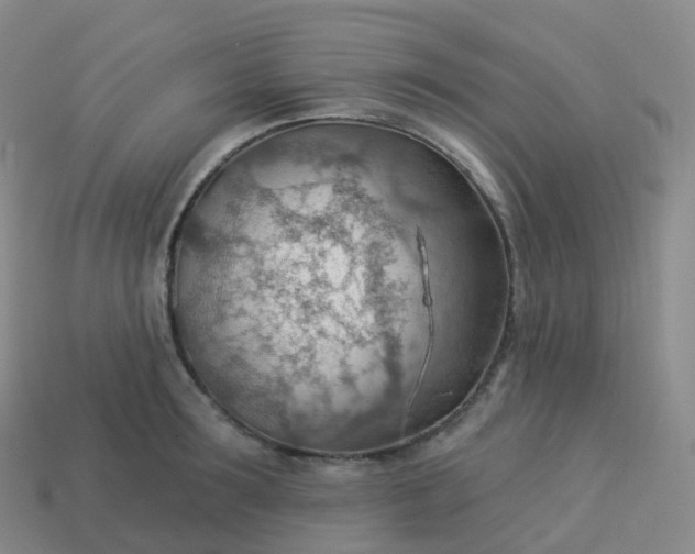 X0000113900899200910081827