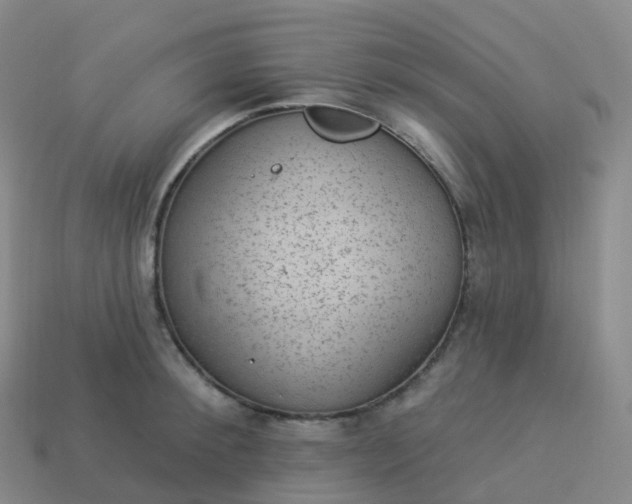 X0000113900900200910081827