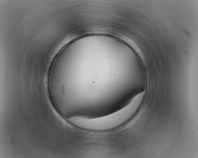 X0000113900901200910081827