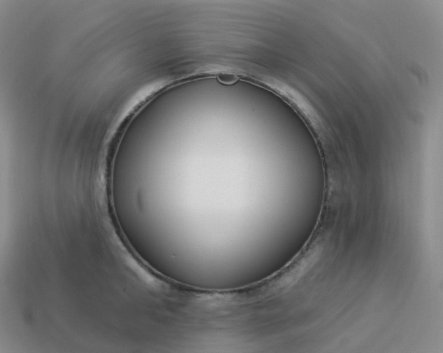 X0000113900902200910081827