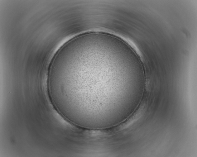 X0000113900903200910081827