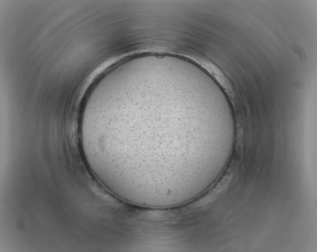 X0000113900904200910081827