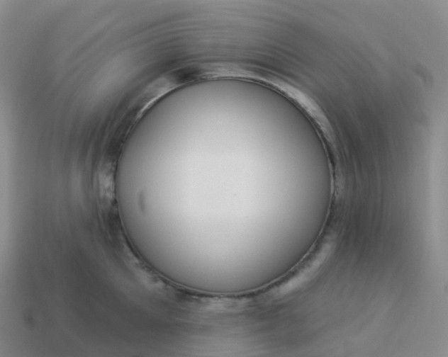 X0000113900905200910081827