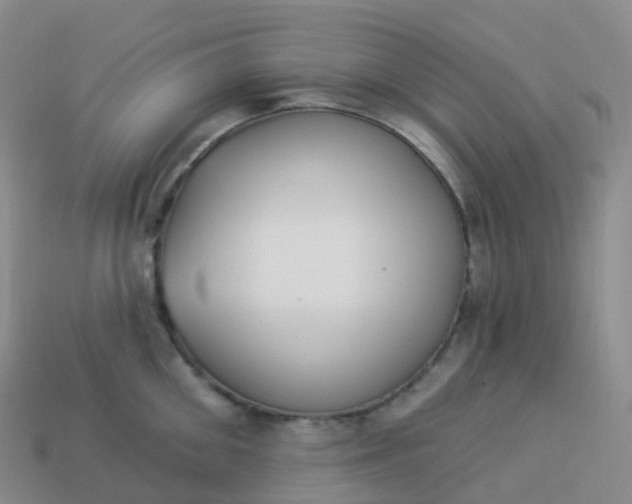 X0000113900906200910081827