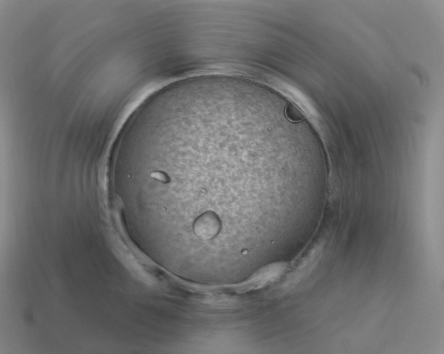 X0000113900907200910081827