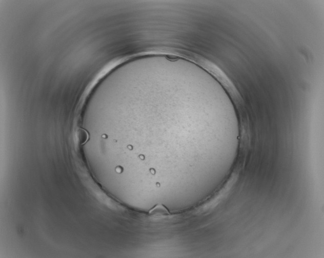 X0000113900908200910081826