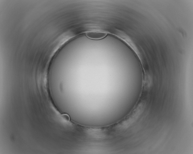 X0000113900909200910081826