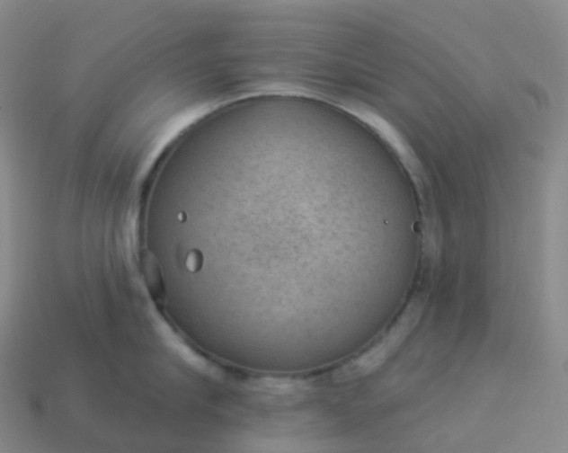 X0000113900910200910081826