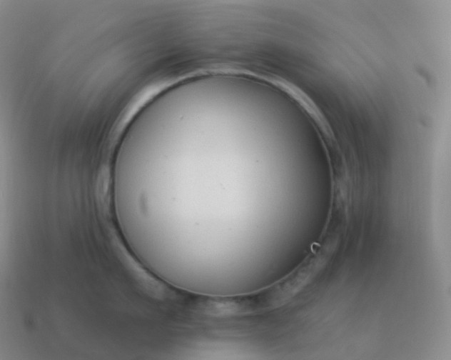 X0000113900911200910081826