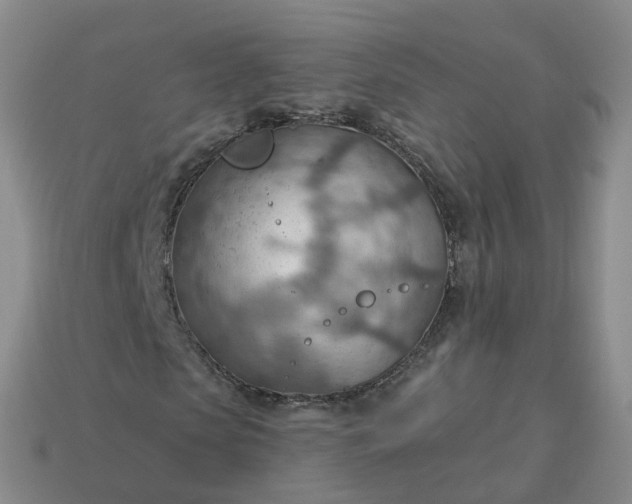 X0000113900913200910081826