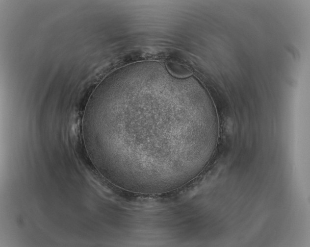 X0000113900914200910081826