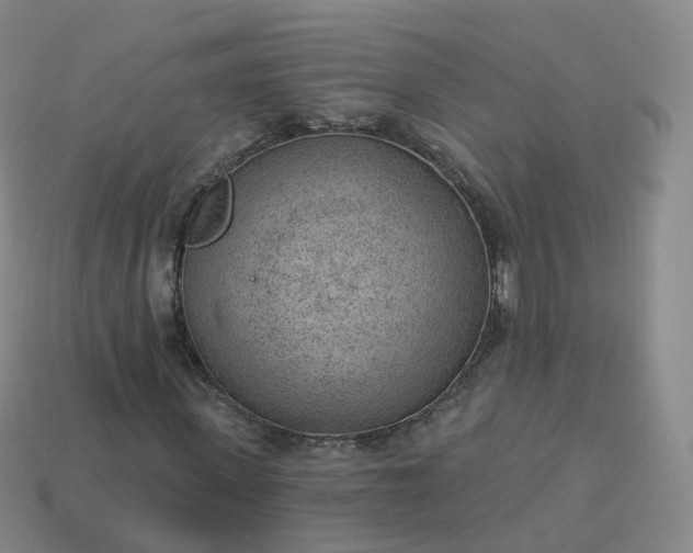 X0000113900915200910081826