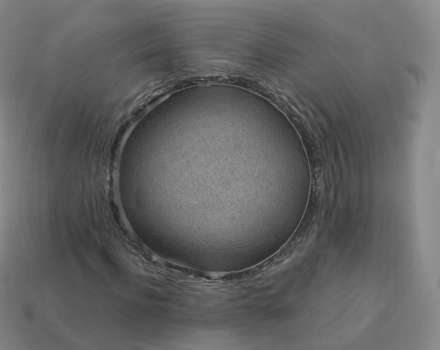 X0000113900916200910081826