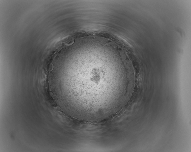 X0000113900917200910081826