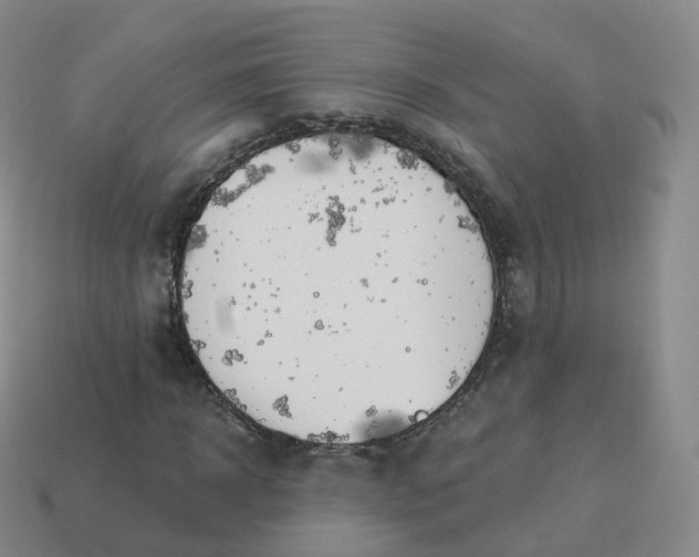 X0000113900918200910081826