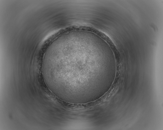 X0000113900919200910081826