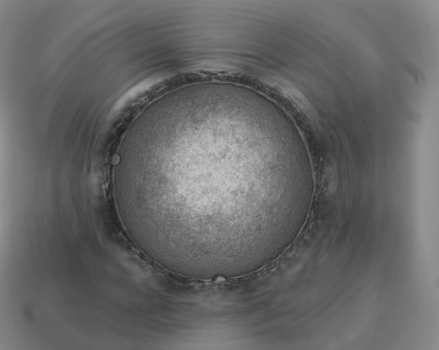 X0000113900920200910081826