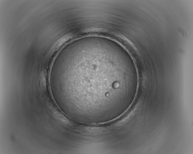 X0000113900921200910081826