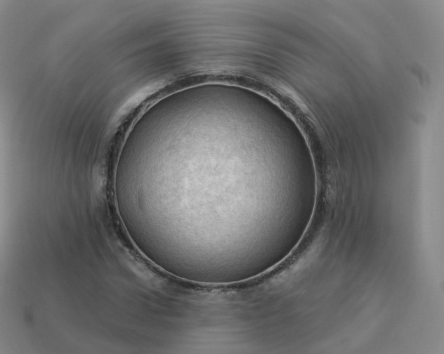 X0000113900922200910081826