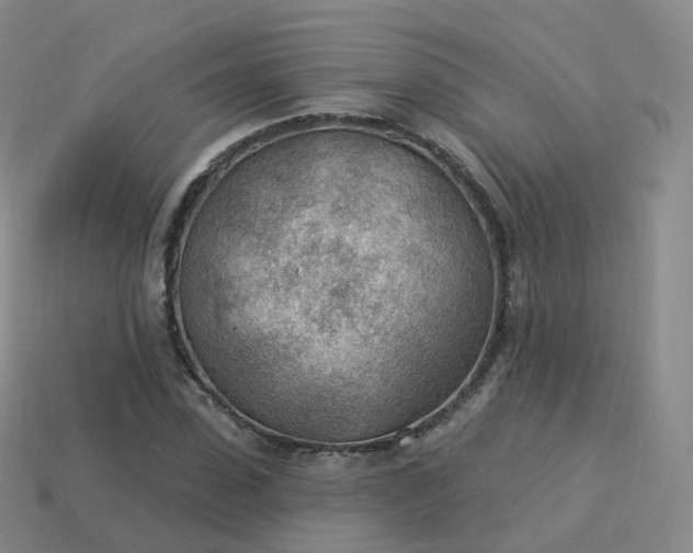 X0000113900923200910081826