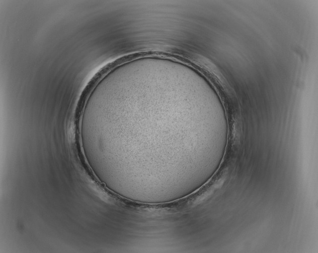 X0000113900924200910081826